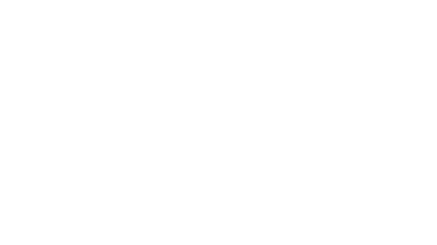 SEIZELogotypeWHT